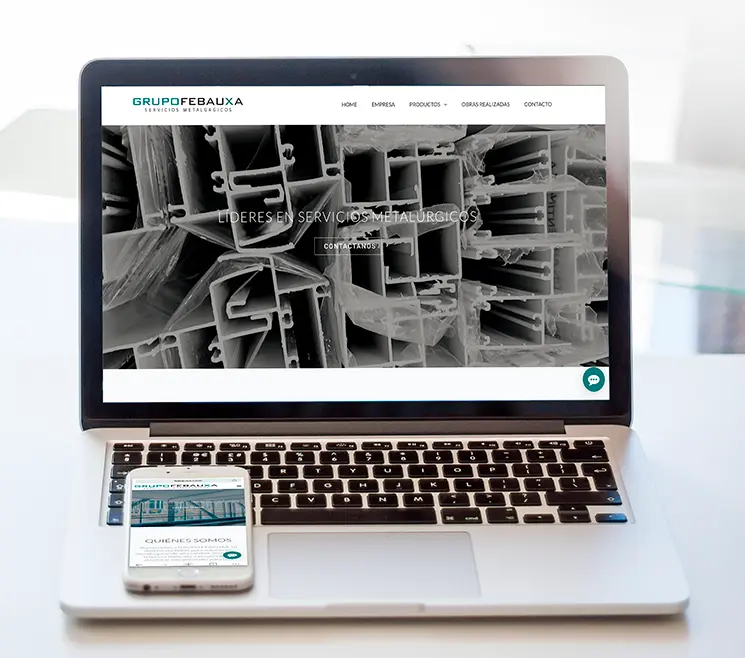 Web Febauxa - Portfolio
