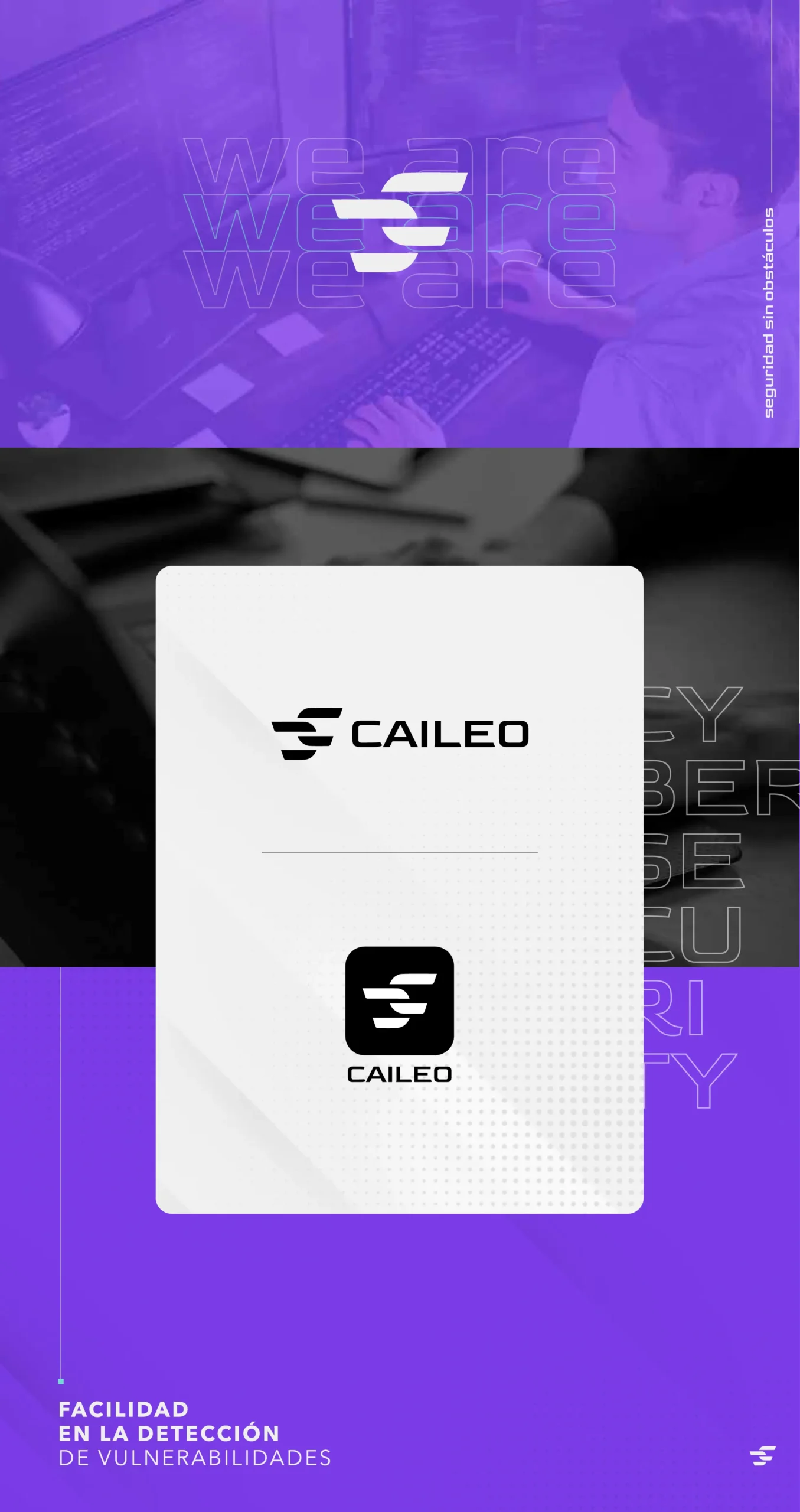 Desarrollo de marca para Caileo